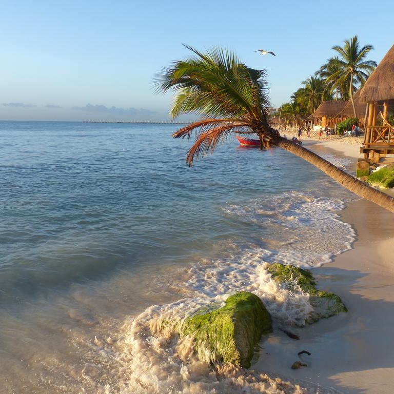 Lilas Del Mar Apartments Playa del Carmen Bagian luar foto